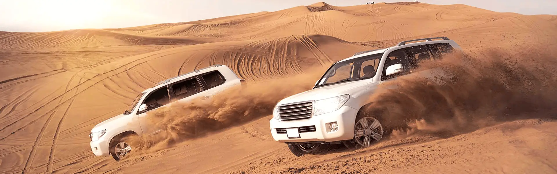 Ultimate Ajman Desert Safari Experience: Thrilling Dune Bashing and Stunning Sunsets